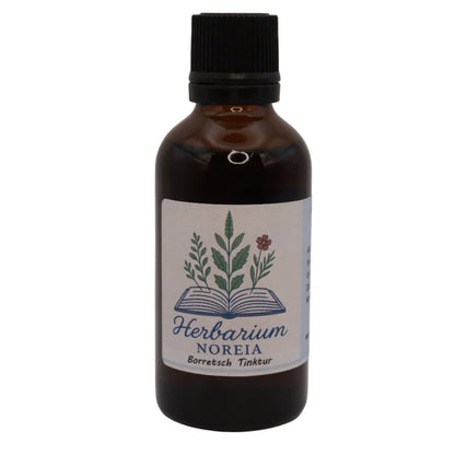 Borretsch Tinktur (Borago officinalis) 50ml