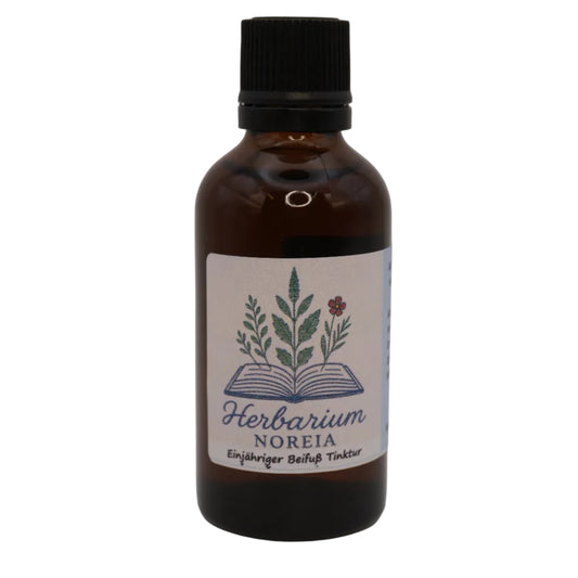 Einjähriger Beifuß Tinktur (Artemisia annua) 50ml