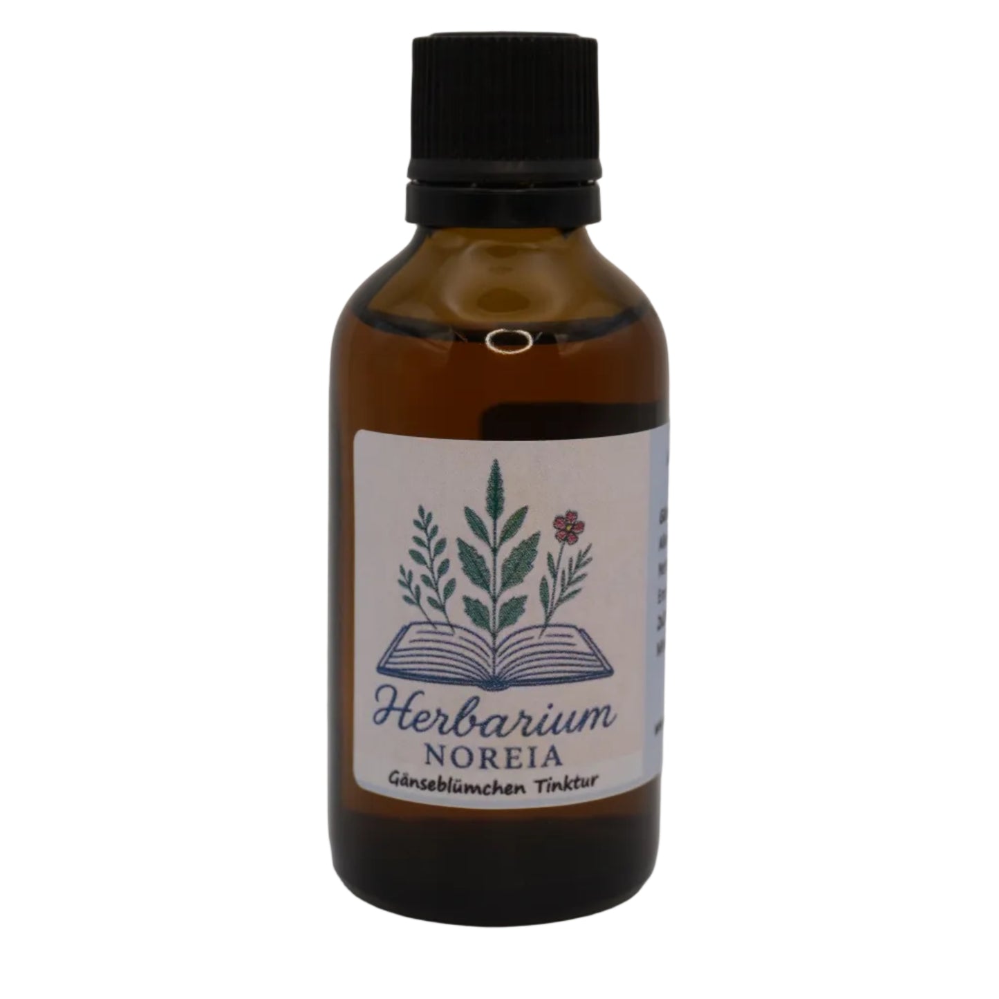 Gänseblümchen Tinktur (Bellis perennis) 50ml