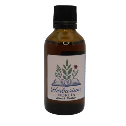 Giersch Tinktur (Aegopodium podagraria) 50ml