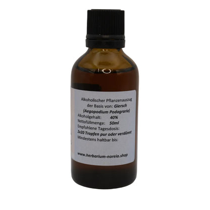 Giersch Tinktur (Aegopodium podagraria) 50ml