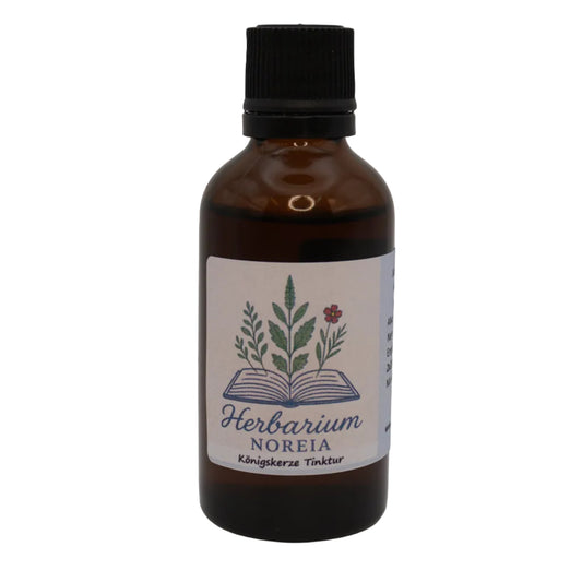 Königskerze Tinktur (Verbascum thapsus) 50ml