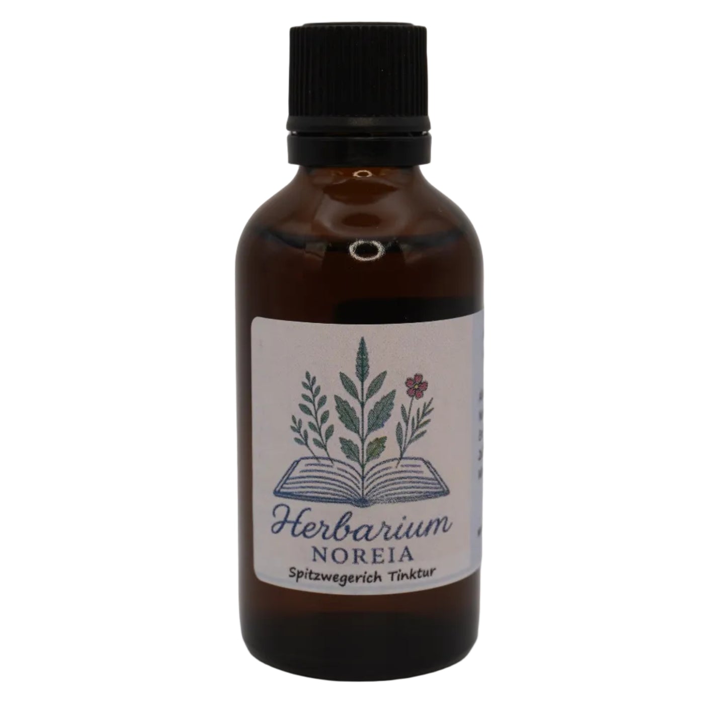 Spitzwegerich Tinktur (Plantago lanceolata) 50ml