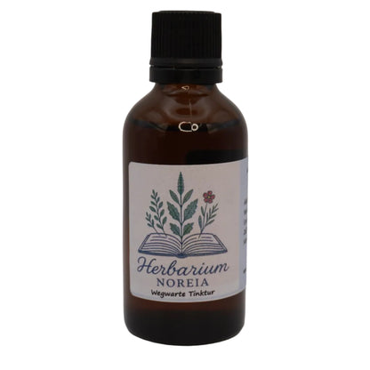 Wegwarte Tinktur (Cichorium intybus) 50ml